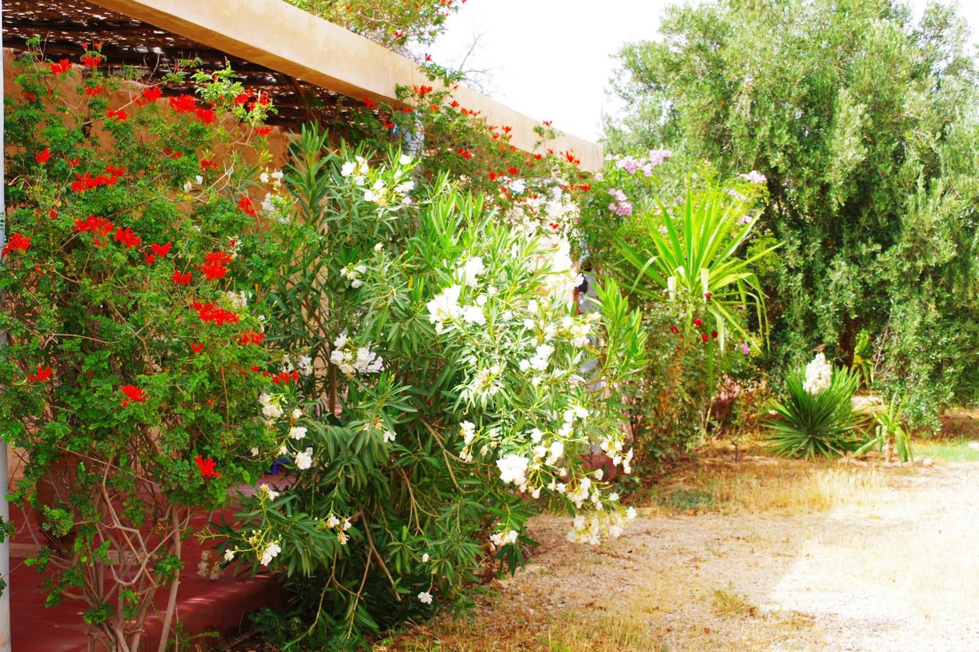 Artgana Lodge Essaouira Ngoại thất bức ảnh