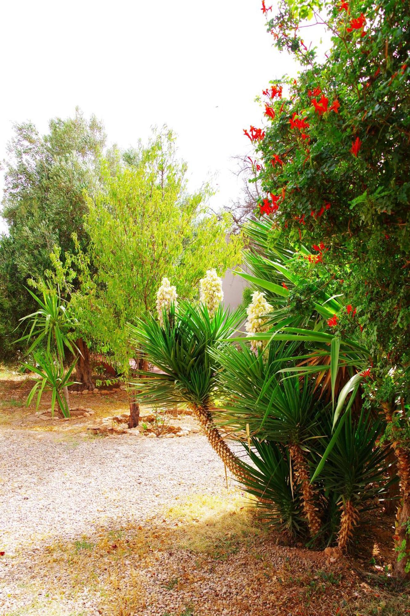 Artgana Lodge Essaouira Ngoại thất bức ảnh